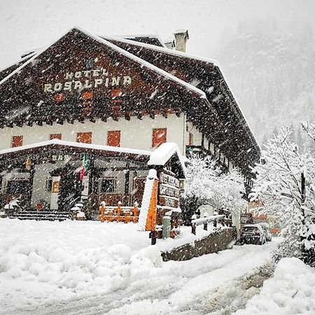 Hotel Rosalpina 로카 피에토레 외부 사진