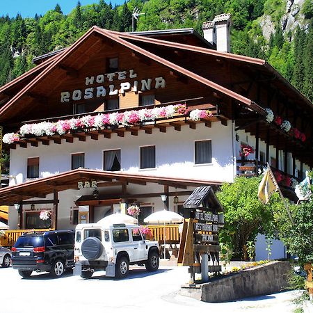 Hotel Rosalpina 로카 피에토레 외부 사진