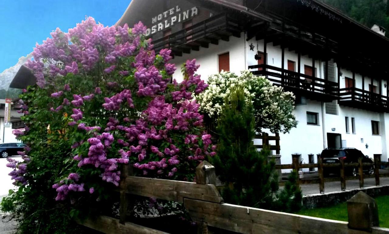 Hotel Rosalpina 로카 피에토레 외부 사진