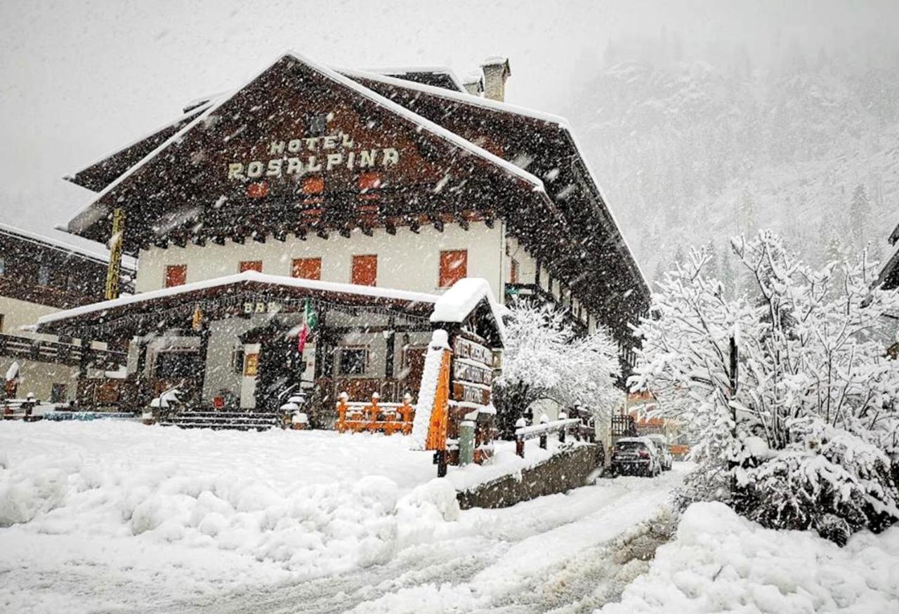 Hotel Rosalpina 로카 피에토레 외부 사진