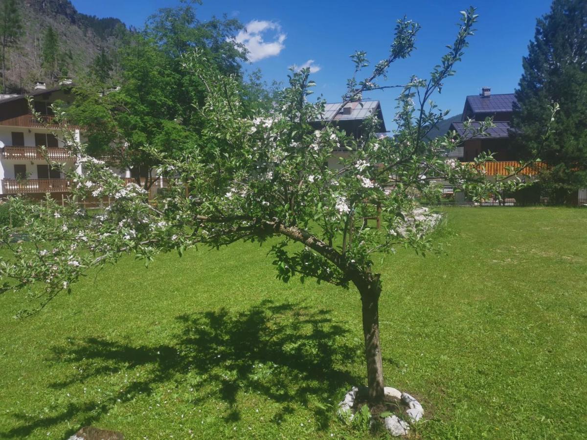 Hotel Rosalpina 로카 피에토레 외부 사진
